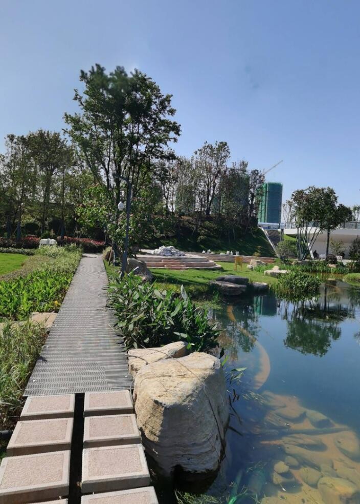 建设中的《陆家中央公园》进度