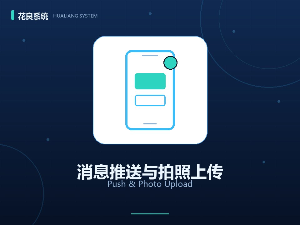 随手拍AI识别